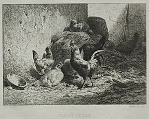 Cock and Hens by Charles-Émile Jacque (French, 1813–1894)