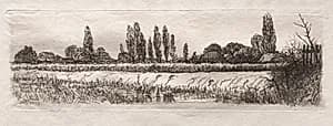 Cornfield by Otto H. Bacher (American, 1856–1909)