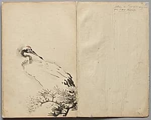 Crane from Sketch Album by Kawanabe Kyōsai (Japanese, 1831–1889)