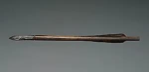 Crossbow Bolt by Unknown Artist