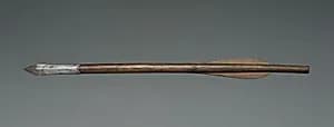 Crossbow Bolt by Unknown Artist