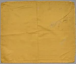Cushion Cover by Unknown Artist