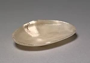 Dish in the Form of a Shell by Unknown Artist