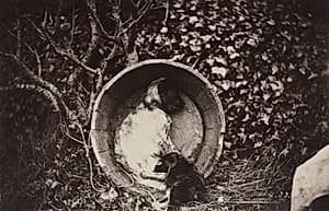 Dog and Puppy in Barrel by Auguste Giraudon's Artist (French)