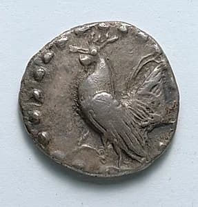 Drachm: Rooster (obverse) by Unknown Artist
