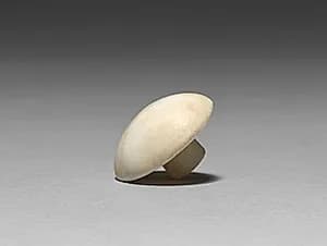 Earring by Unknown Artist