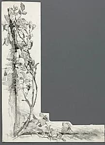 Flower Study by Harry Fenn (American, 1838/45–1911)