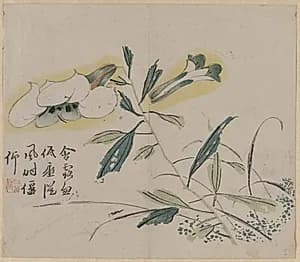 Flowering Lily by Unknown Artist
