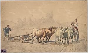 Four Oxen Pulling a Plough by Constant Troyon (French, 1810–1865)