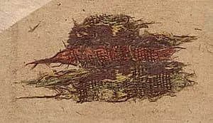 Fragment by Unknown Artist