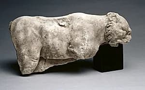 Fragment of a Panther by Unknown Artist