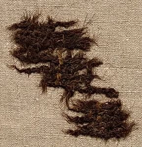 Fragment of Tabby Cloth by Unknown Artist