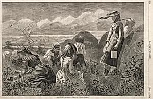 Gathering Berries by Winslow Homer (American, 1836–1910)
