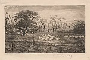 Geese  by Félix Hilaire Buhot (French, 1847–1898)