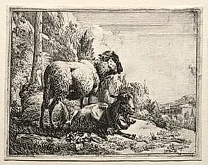 Goat with Bell by Johann Heinrich Roos (German, 1631–1685)