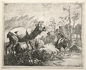 Goats by Johann Heinrich Roos (German, 1631–1685)
