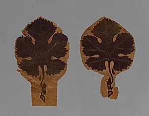 Grape Leaves from a Curtain by Unknown Artist
