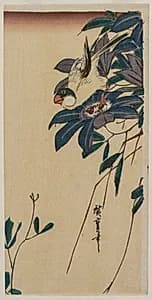 Grosbeak and Clematis by Utagawa Hiroshige (Japanese, 1797–1858)