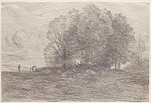 Group of Trees by Jean Baptiste Camille Corot (French, 1796–1875)