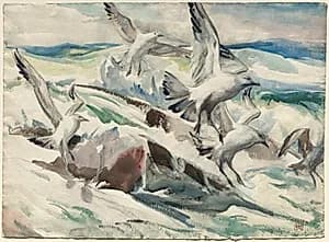 Gulls Feeding by Henry Keller (American, 1869–1949)