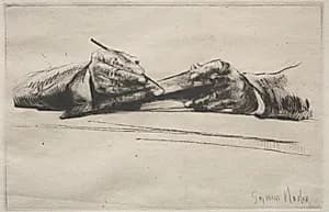 Hands Drypointing by Francis Seymour Haden (British, 1818–1910)