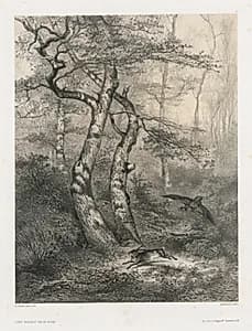 Hare Pursued by a Goshawk by Karl Bodmer (Swiss, 1809–1893)