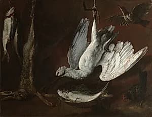 Hare, Spoonbill, and Fish by Unknown Artist