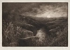 Haunt of the Mosquito by Francis Seymour Haden (British, 1818–1910)
