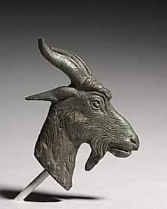 Head of a Goat by Unknown Artist