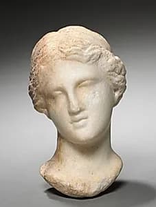Head of a Woman by Unknown Artist