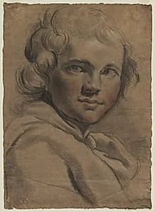 Head of a Young Man (recto)