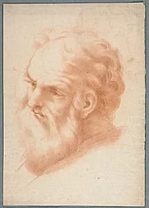 Head of an Old Man by Unknown Artist
