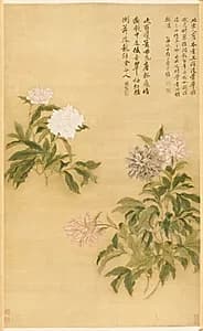 Herbaceous Peony by Yun Shouping (Chinese, 1633–1690)