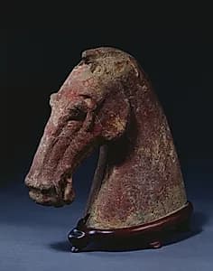 Horse's Head by Unknown Artist