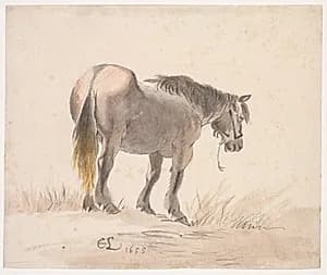 Horse Standing on a Mound by Cornelis Saftleven (Dutch, 1607–1681)