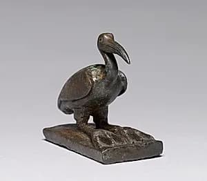 Ibis by Unknown Artist