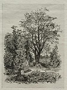 In my Bordeaux Garden by Maxime Lalanne (French, 1827–1886)