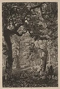 In the Woods by Adolphe Théodore Jules Martial Potémont (French, 1828–1883)