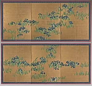 Irises by Watanabe Shikō (Japanese, 1683–1755)
