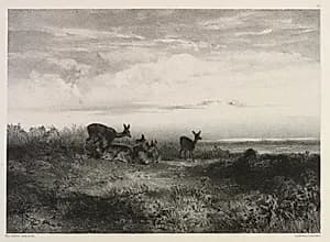 Landscape with Deer by Karl Bodmer (Swiss, 1809–1893)