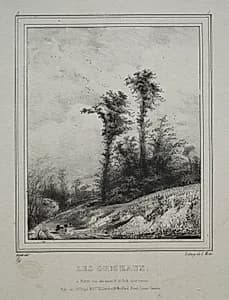 Landscapes:  Young Elm Trees by Paul Hüet (French, 1803–1869)