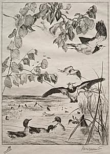 Lapwings and Teals by Félix Bracquemond (French, 1833–1914)