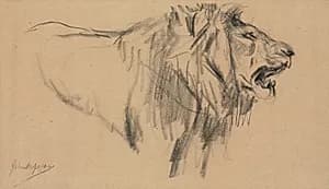 Lion by John Macallan Swan (British, 1847–1910)