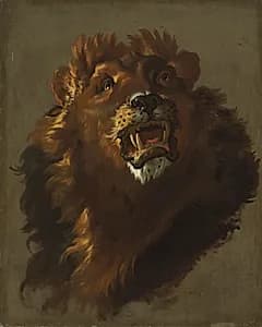 Lion by Giuseppe Baldrighi (Italian, 1723–1803)