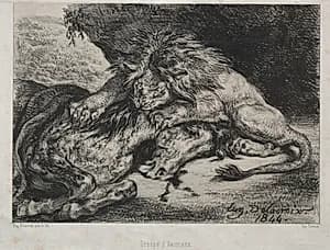 Lion Devouring a Horse by Eugène Delacroix (French, 1798–1863)
