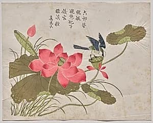Magpie on Lotus by Unknown Artist