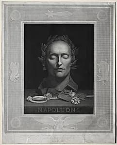 Mask of Napoleon by Luigi Calamatta (Italian, 1801–1869)