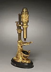 Microscope by Unknown Artist