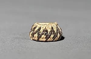 Miniature Round Basket by Unknown Artist