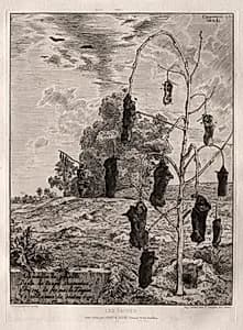 Moles by Félix Bracquemond (French, 1833–1914)